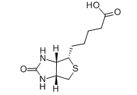 58-85-5/CAS 58-85-5 生物素/Biotin