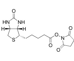 35013-72-0/CAS 35013-72-0 D-生物素-N-琥珀酰亚胺基酯/Biotin-NHS