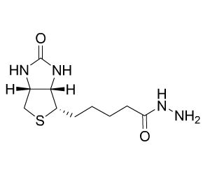 CAS 66640-86-6 D-生物素酰肼