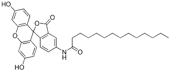 Cas 75796-37-1 5-(十四酰氨基)荧光素