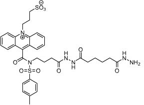 NSP-SA-ADH 吖啶酰肼