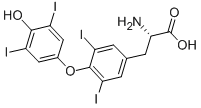 Cas 51-48-9 L-甲状腺素T4