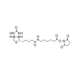 72040-63-2/CAS 72040-63-2 生物素-C6-琥珀酰亚胺酯/Biotin-C6-NHS,NHS–LC–Biotin