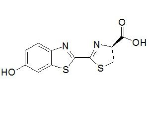 Cas 2591-17-5  D-荧光素