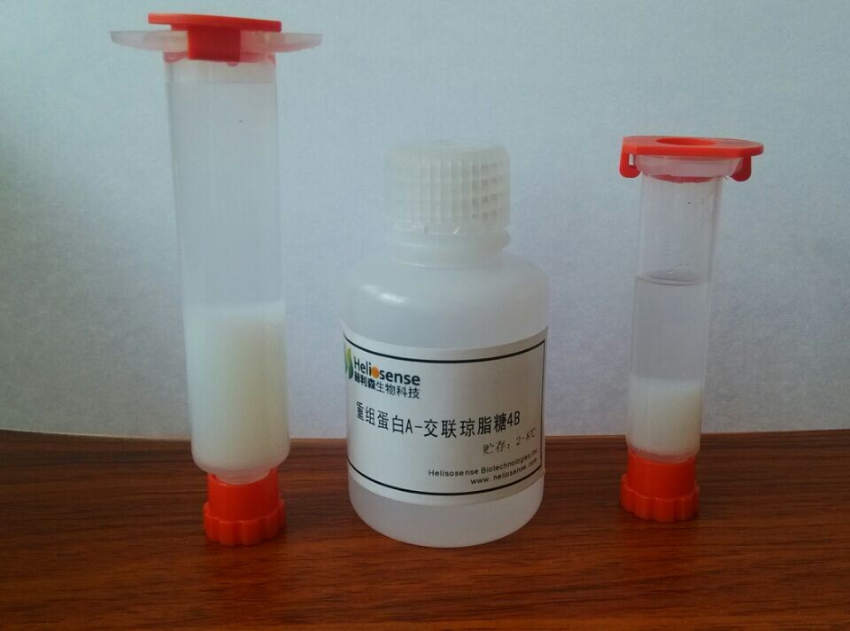 price infona简介gst琼脂糖凝胶ff是专门设计用于纯化谷胱甘肽s-转移